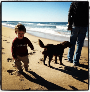 Screen shot 2013-11-24 at 1.59.08 PM