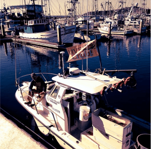 Screen shot 2013-11-24 at 2.06.54 PM